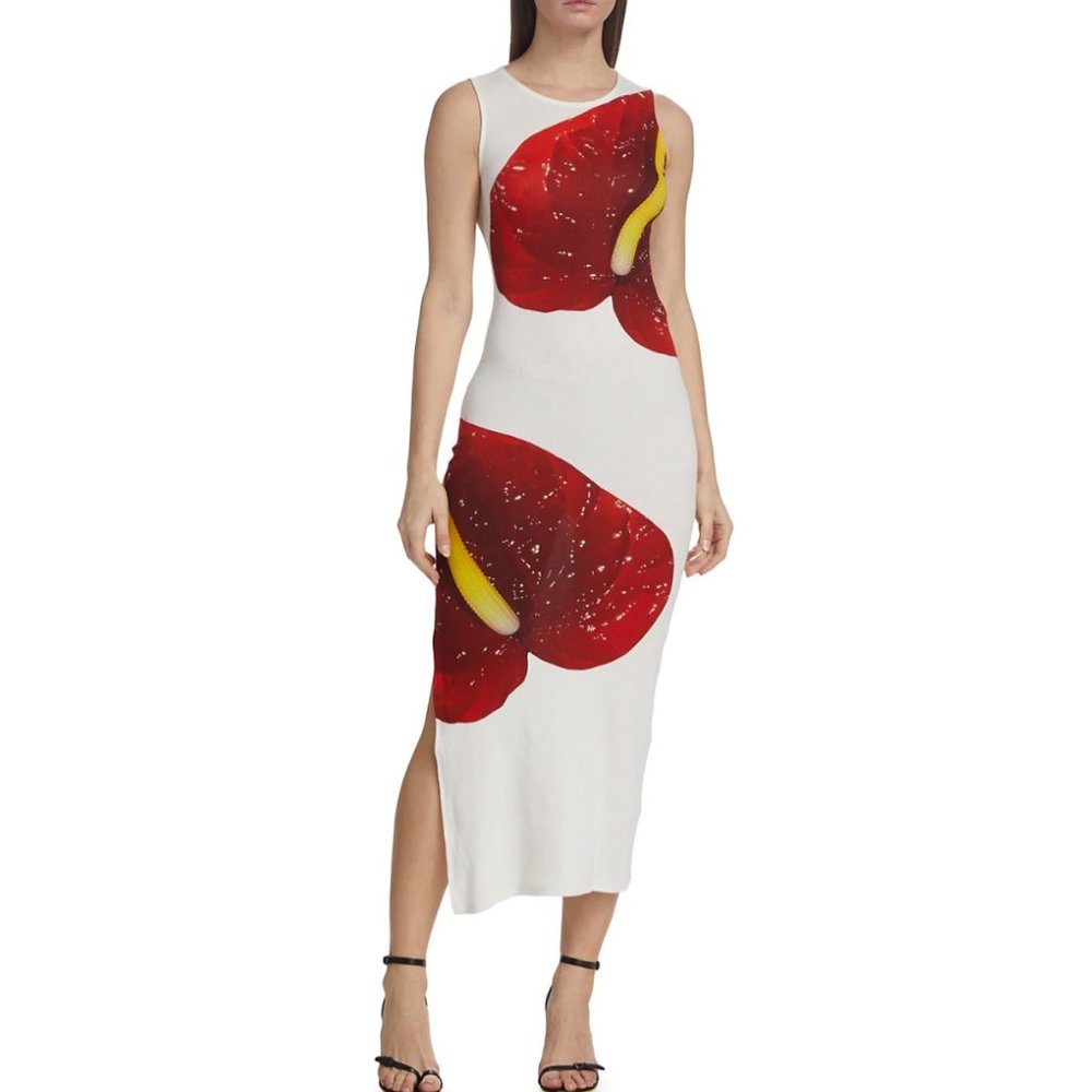 Loewe Anthurium Print Dress (NWT)